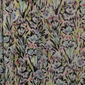 Liz Claiborne sheer blouse